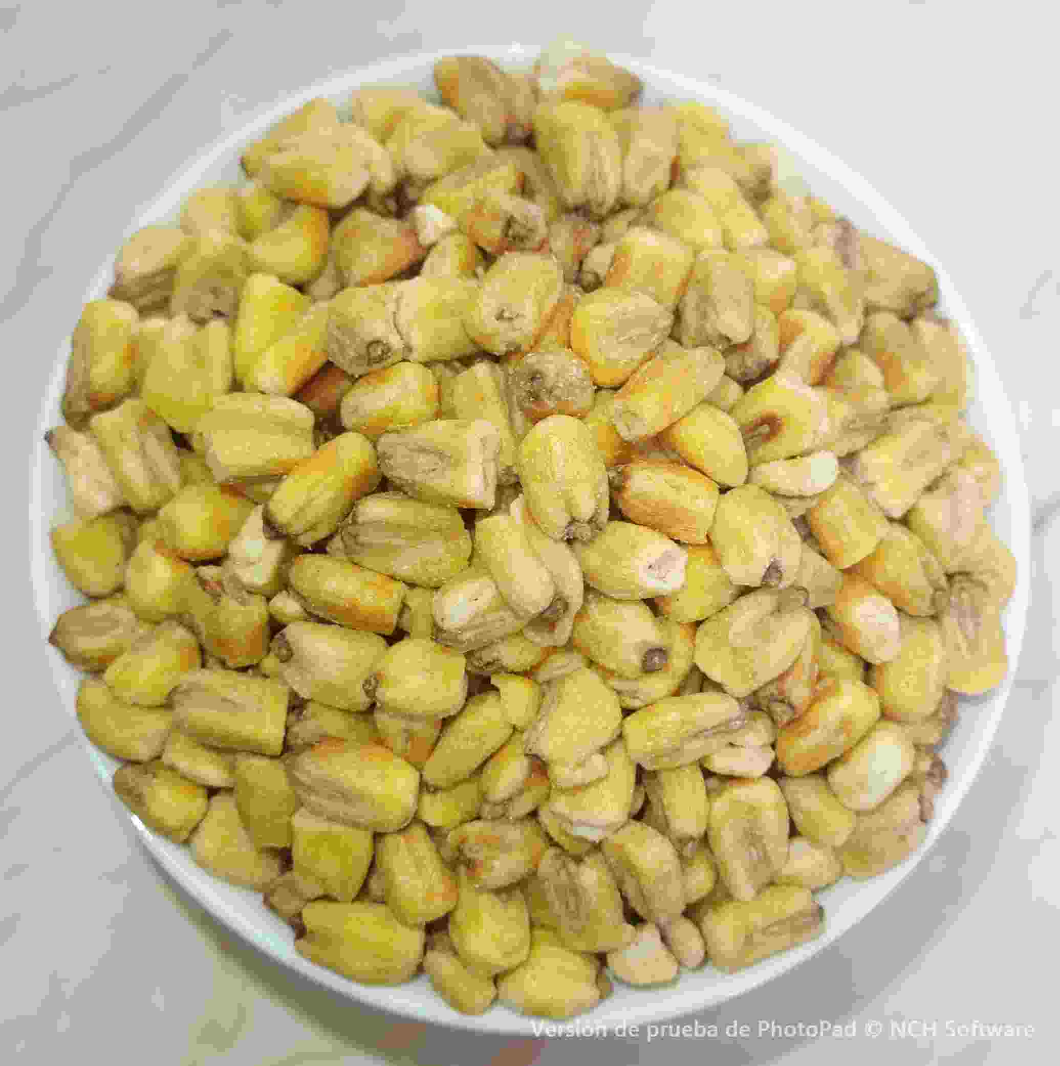 MAÍZ FRITO SALADO 1kl.