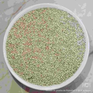 SEMILLA DE QUINOA BLANCA 1kl.