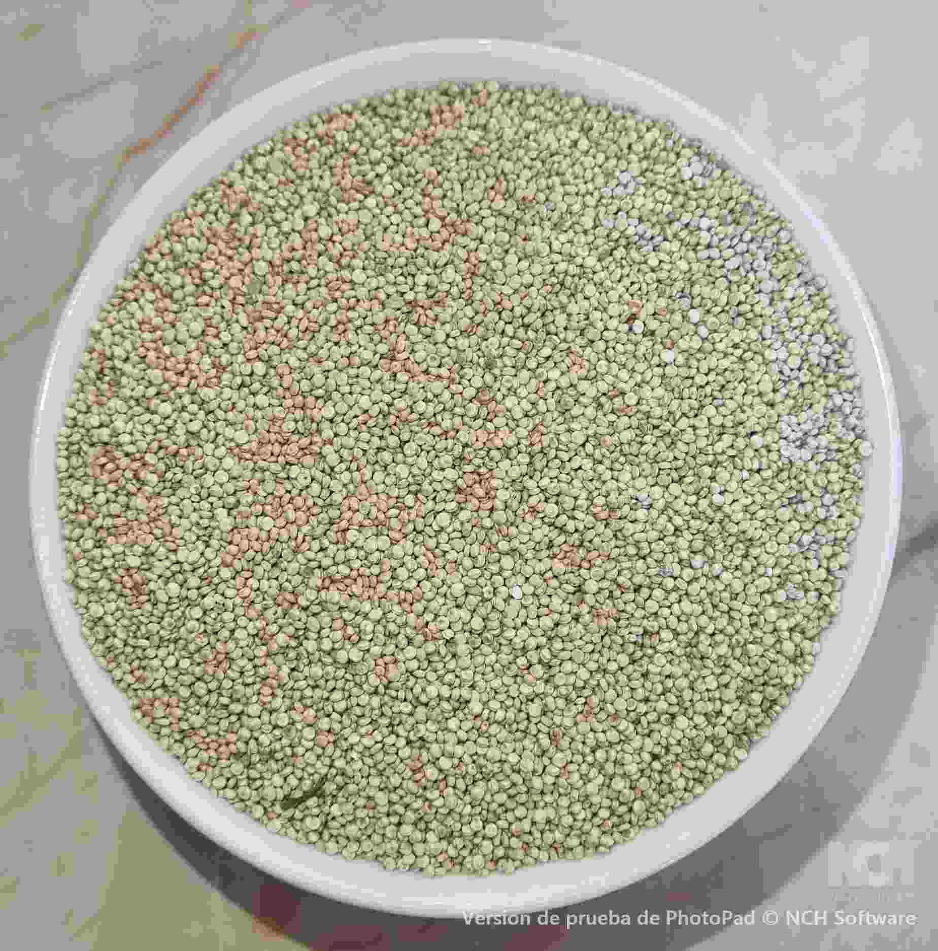 SEMILLA DE QUINOA BLANCA 1kl.