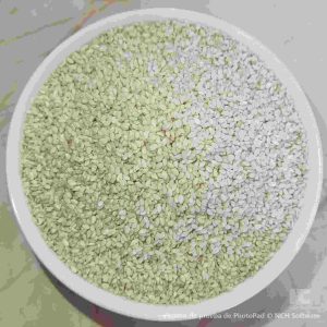 SEMILLA DE SESAMO BLANCA 1kl.